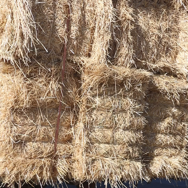 河北小麦秸杆白亮水分低灰分