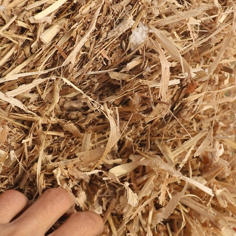 燕麦秸秆带绿带少量壳水分安全双辽发货现货